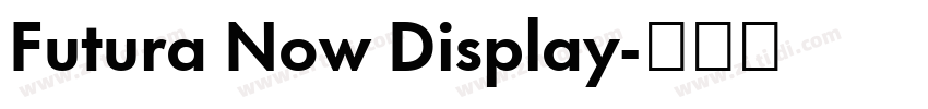Futura Now Display字体转换